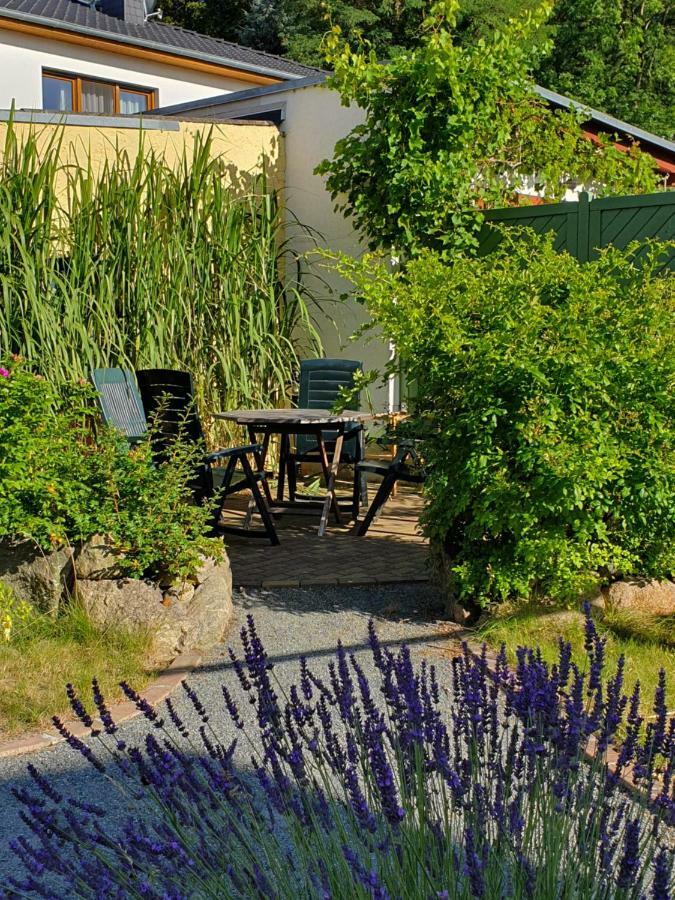 Ferienwohnung Paul Цинновиц Экстерьер фото