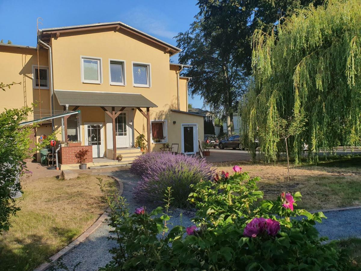 Ferienwohnung Paul Цинновиц Экстерьер фото